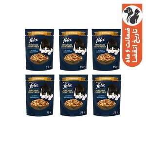 پوچ گربه فلیکس مدل in sauce با طعم فیله مرغ وزن 410 گرم بسته 6 عددی